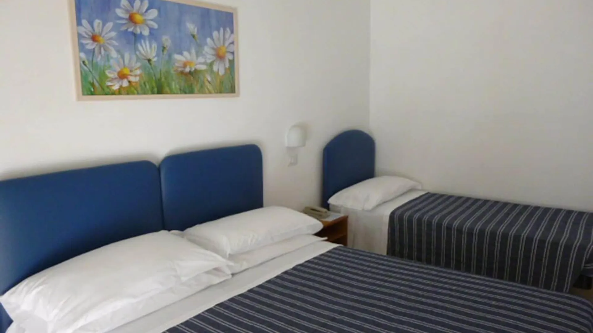 Hotel Berenice Rimini Italy
