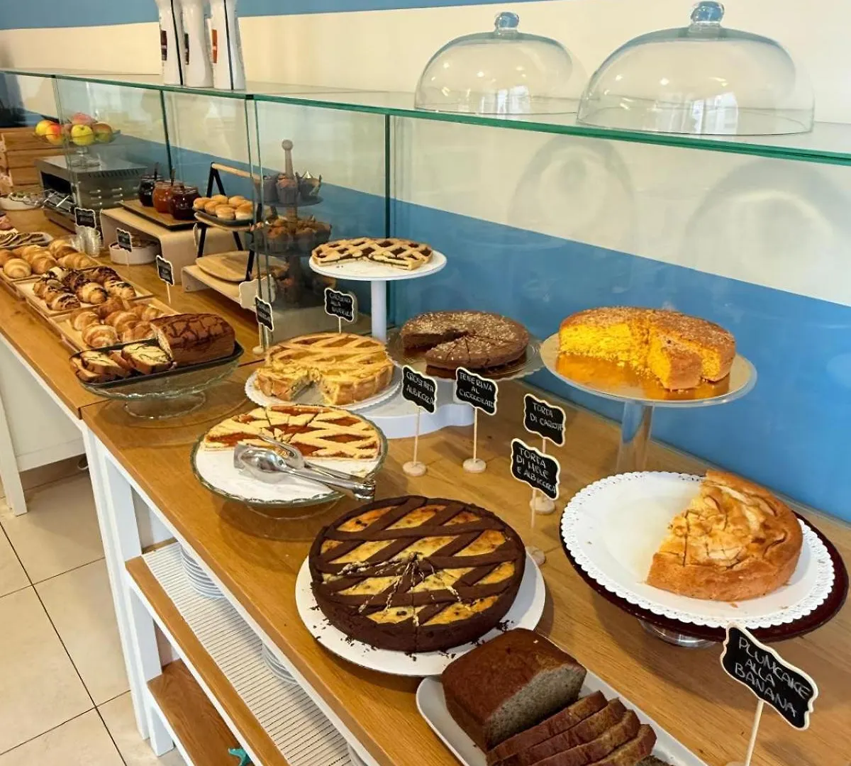 Hotel Berenice Rimini